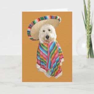 Goldendoodle Cinco de Mayo card