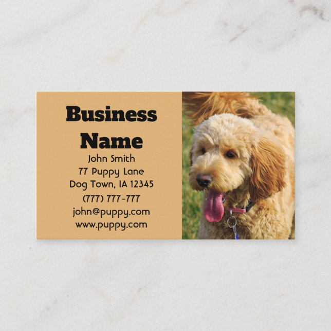 Goldendoodle Dog Business Card (Front)