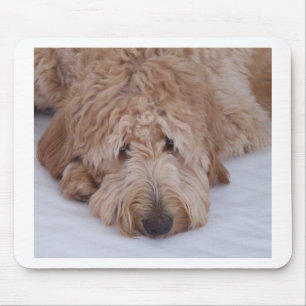 GoldenDoodle Dog Gift Mousepads / Mousemats