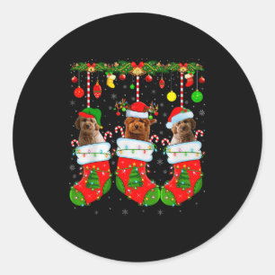 Goldendoodle Dog In Christmas Socks Funny Pet Dog  Classic Round Sticker