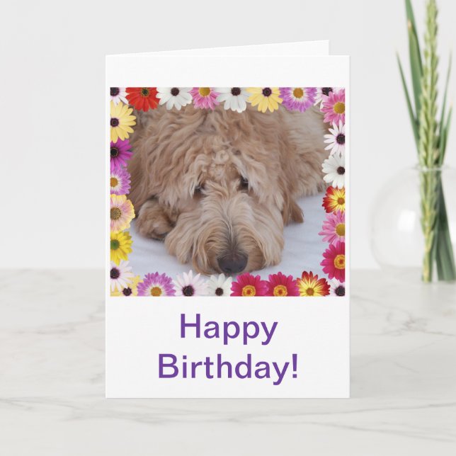 GoldenDoodle Dog in Colourful Flowers Birthday Car Card (Front)