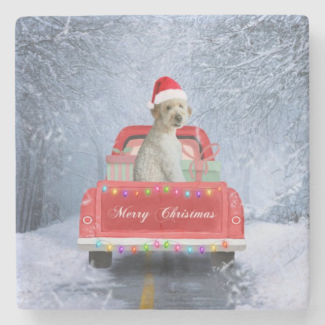 Goldendoodle Dog in Snow sitting in Christmas Stone Coaster (Front)