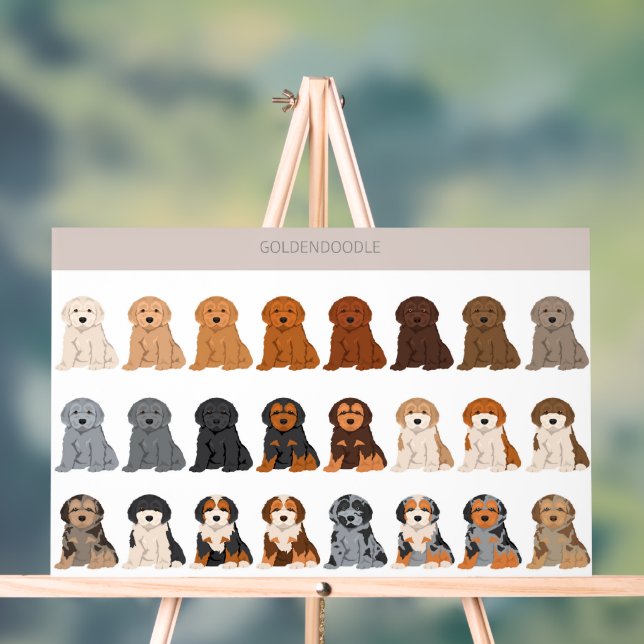 Goldendoodle dog mix acrylic sign (Neutral)