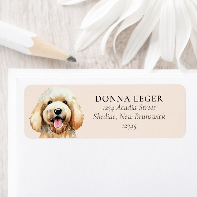 Goldendoodle Dog Personalised Address (Insitu)