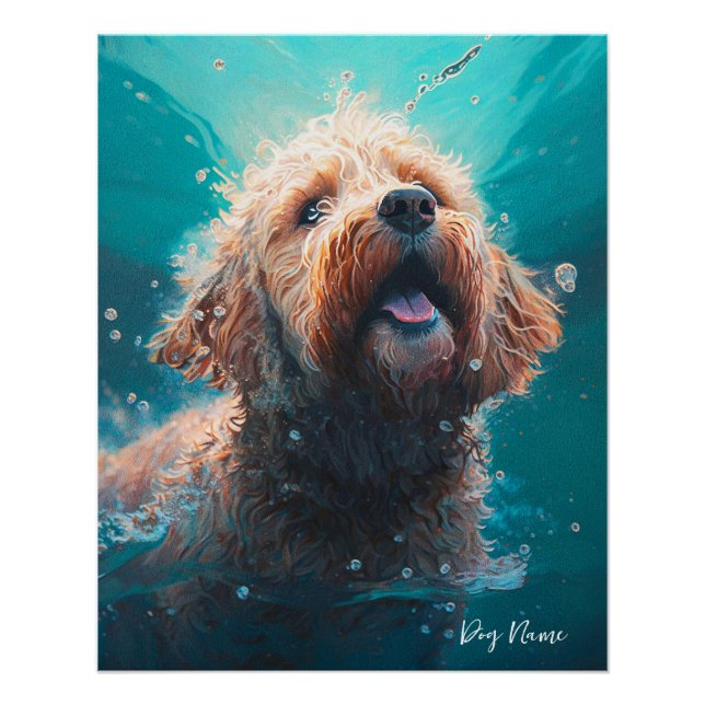 Goldendoodle dog swimming in water 008 poster (Front)