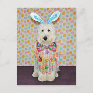 Goldendoodle Easter postcard