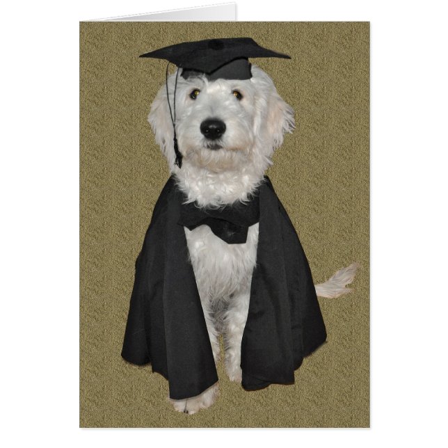 Goldendoodle Graduation Card (Front)