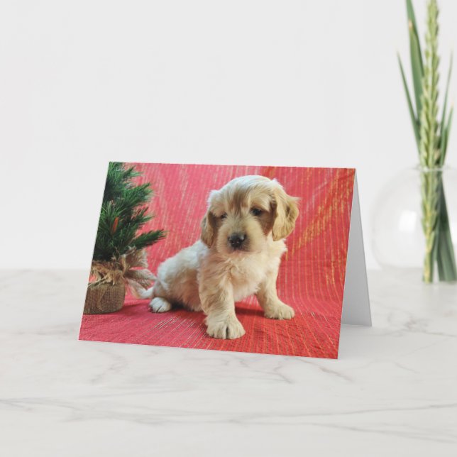 Goldendoodle Holiday Card (Front)
