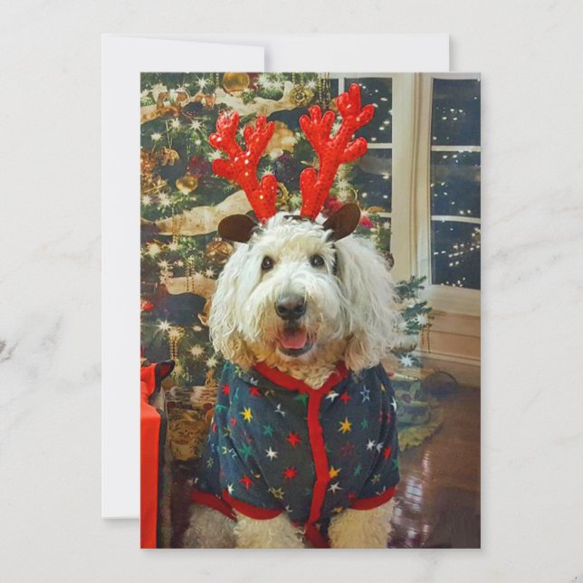 Goldendoodle home for the holidays holiday card (Front)