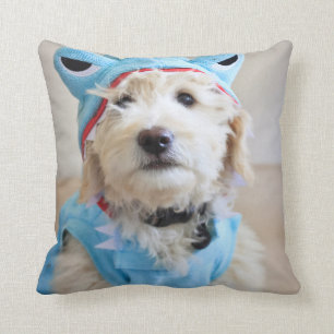 Goldendoodle In Shark Costume Cushion
