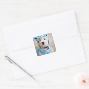 Goldendoodle In Shark Costume Square Sticker