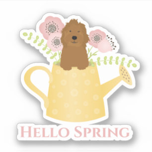Goldendoodle In Watering Can