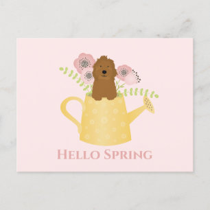 Goldendoodle In Watering Can Postcard