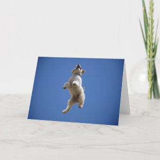 Goldendoodle Jumping Greeting Card
