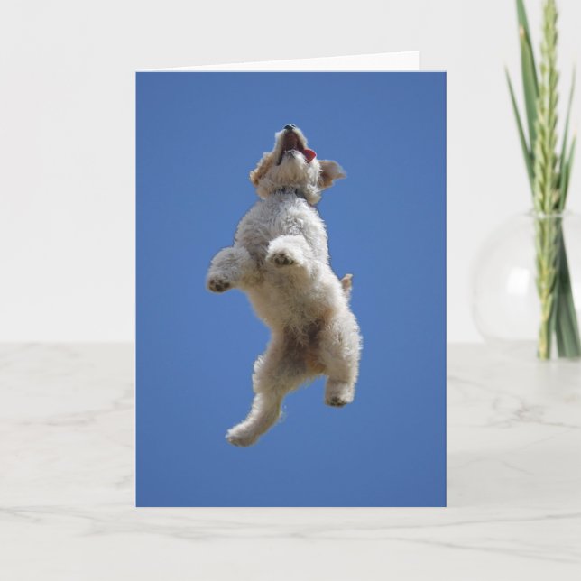 Goldendoodle Jumping Greeting Card (Front)