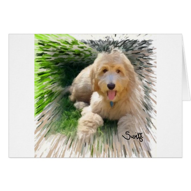 Goldendoodle Labradoodle (Front Horizontal)