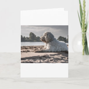 goldendoodle on beach card