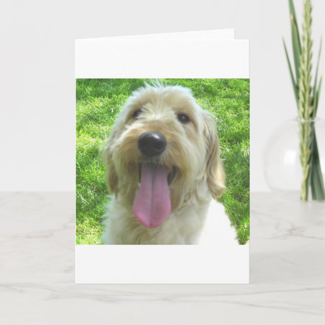 Goldendoodle Products Card (Front)
