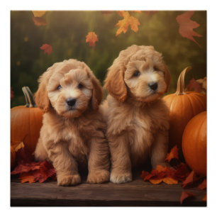 Goldendoodle Puppy Autumn Delight Pumpkin  Poster