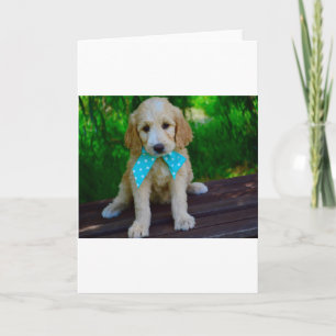 goldendoodle puppy card