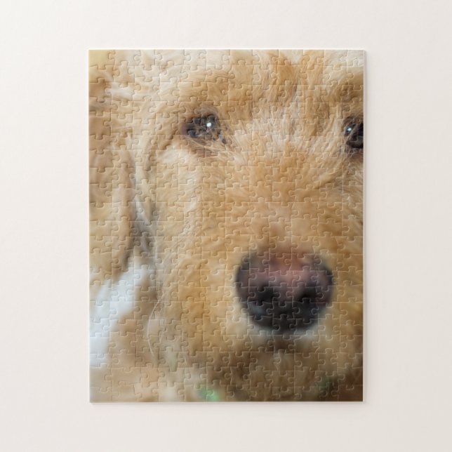 Goldendoodle Puppy Closeup Jigsaw Puzzle (Vertical)