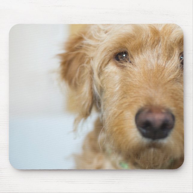 Goldendoodle Puppy Closeup Mouse Mat (Front)
