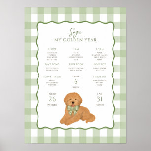 Goldendoodle Puppy Dog 1st Birthday Milestone  Poster