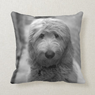 Goldendoodle Puppy In Backyard Cushion