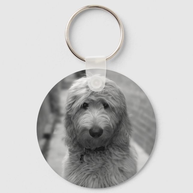 Goldendoodle Puppy In Backyard Key Ring (Front)