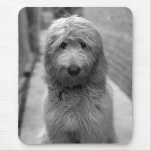 Goldendoodle Puppy In Backyard Mouse Mat