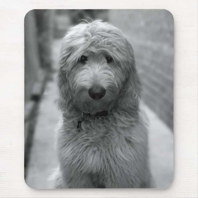 Goldendoodle Puppy In Backyard Mouse Mat (Front)