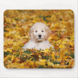 Goldendoodle Puppy In Fall Leaves Mouse Mat