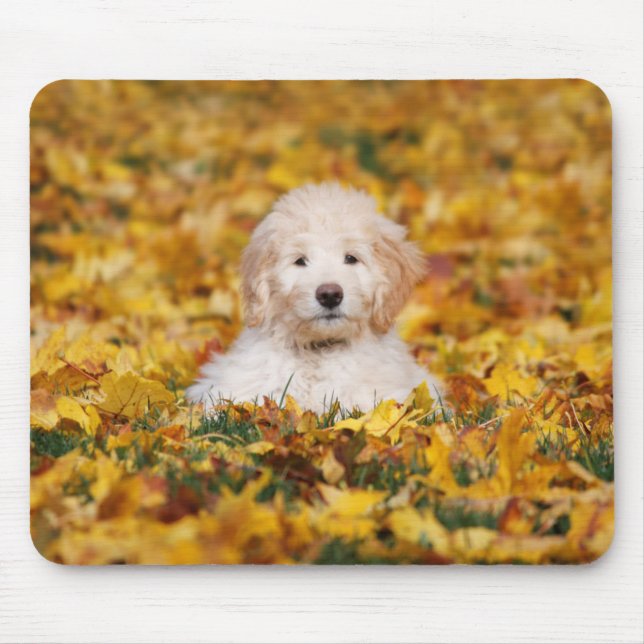 Goldendoodle Puppy In Fall Leaves Mouse Mat (Front)