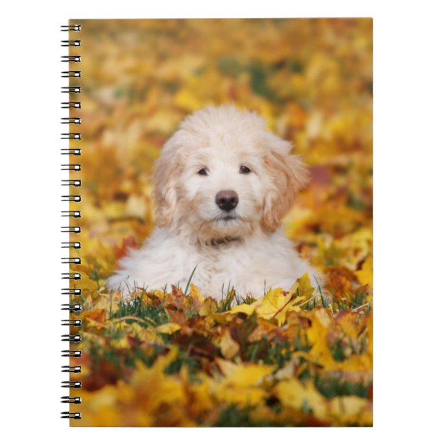 Goldendoodle Puppy In Fall Leaves Notebook (Front)