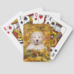 Goldendoodle Puppy In Fall Leaves Playing Cards