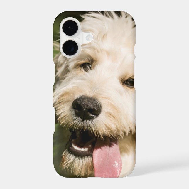 Goldendoodle Puppy Panting (Back)
