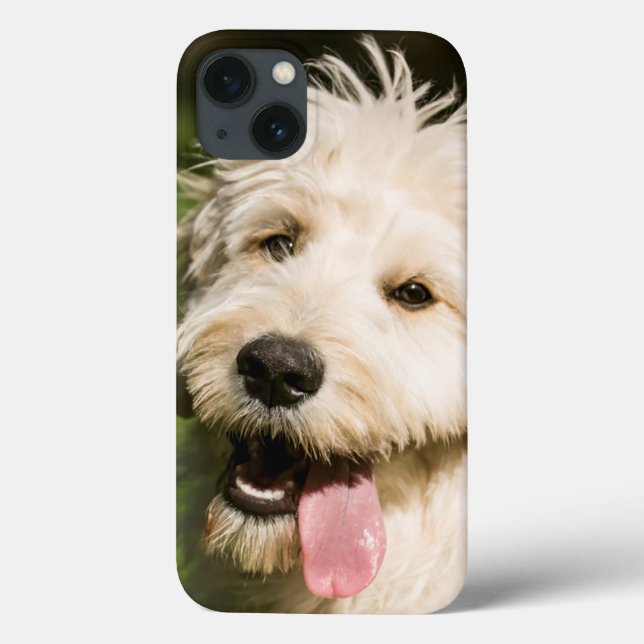 Goldendoodle Puppy Panting Case-Mate iPhone Case (Back)