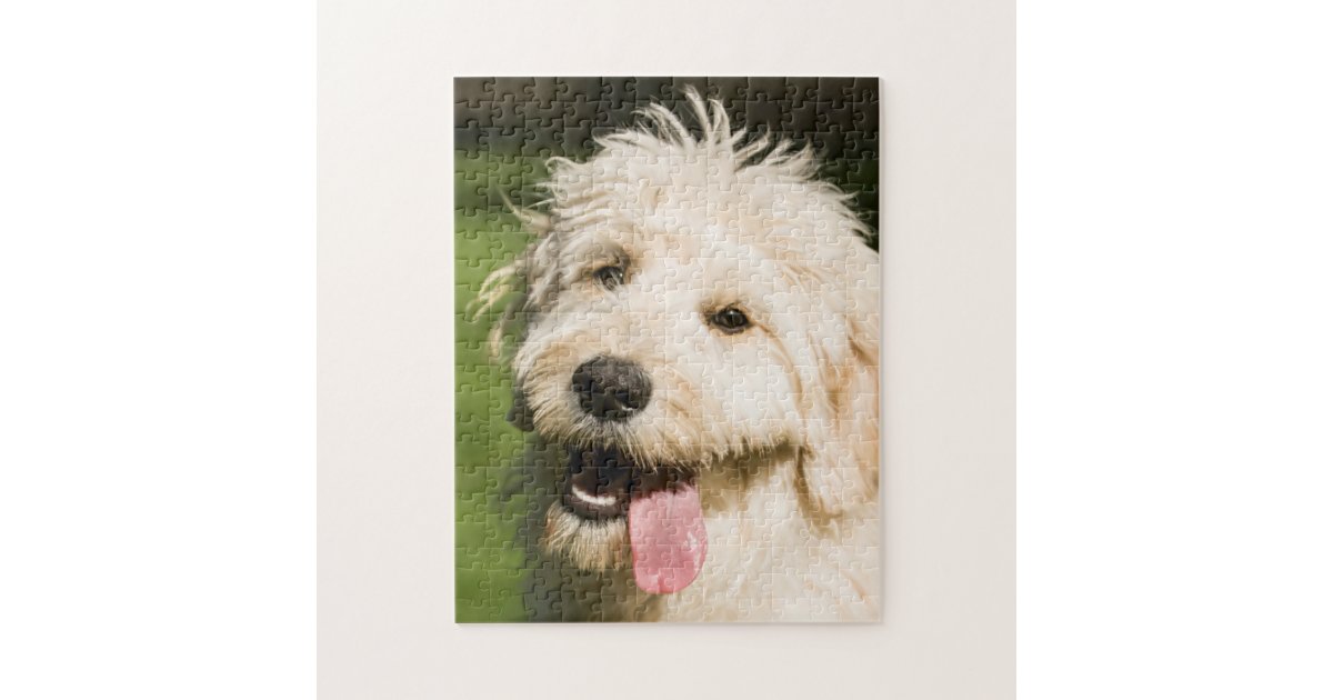 Goldendoodle Puppy Panting Jigsaw Puzzle Zazzle