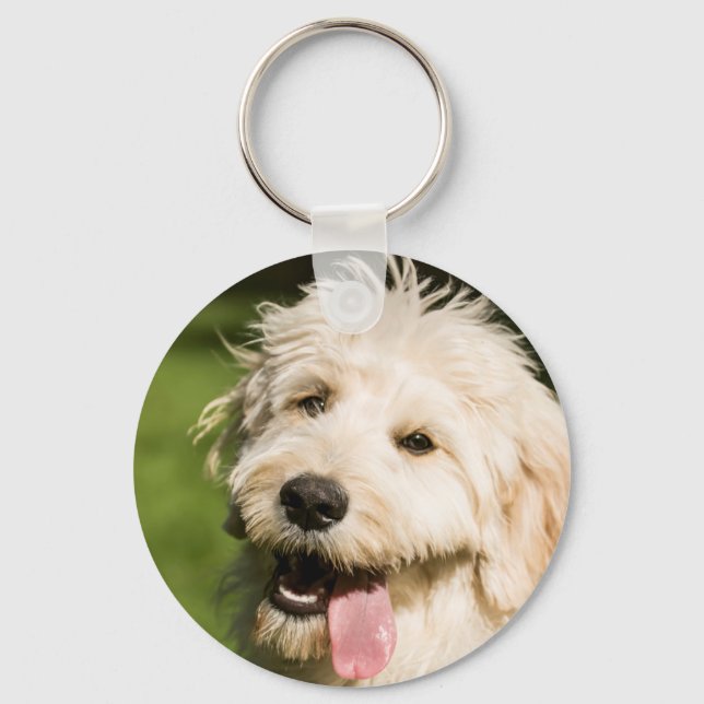 Goldendoodle Puppy Panting Key Ring (Front)