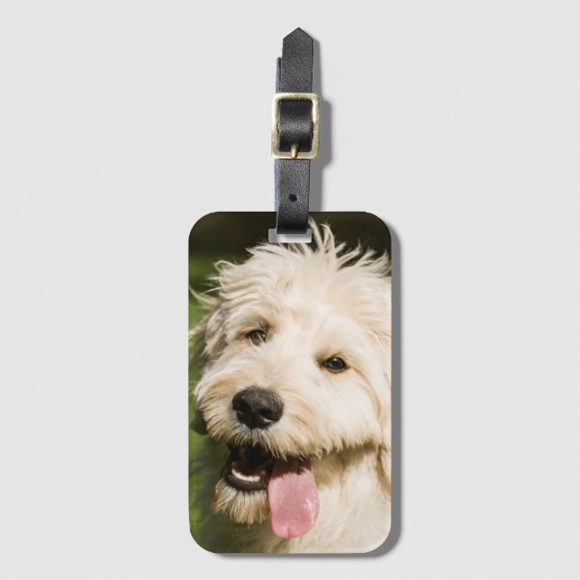 Goldendoodle Puppy Panting Luggage Tag (Front Vertical)