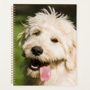 Goldendoodle Puppy Panting Planner