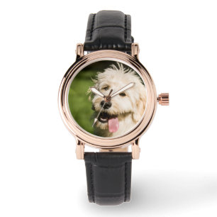 Goldendoodle Puppy Panting Watch