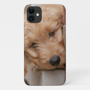 Goldendoodle Puppy Peeking iPhone 11 Case