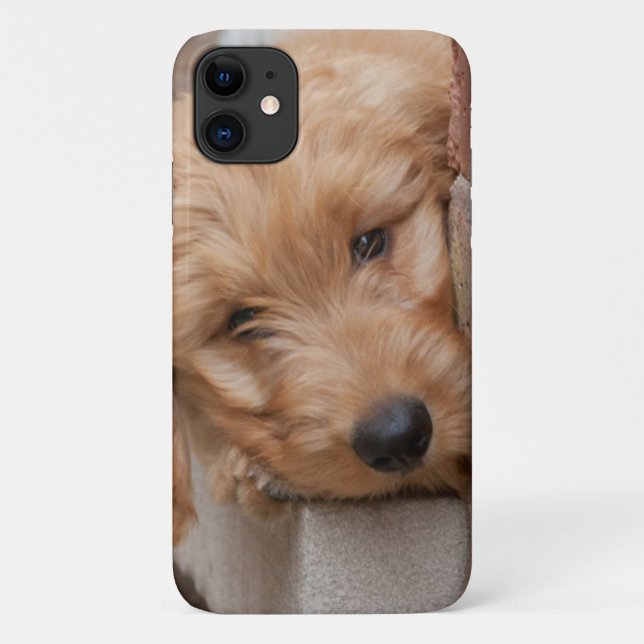 Goldendoodle Puppy Peeking Case-Mate iPhone Case (Back)
