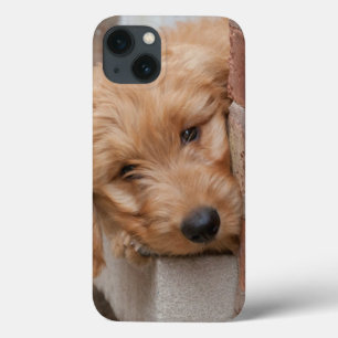 Goldendoodle Puppy Peeking iPhone 13 Case