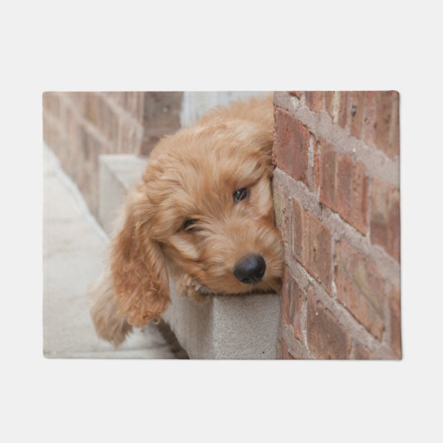 Goldendoodle Puppy Peeking Doormat (Front)
