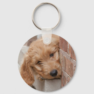 Goldendoodle Puppy Peeking Key Ring