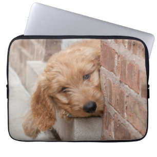 Goldendoodle Puppy Peeking Laptop Sleeve