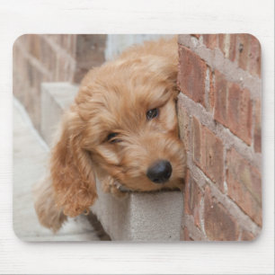 Goldendoodle Puppy Peeking Mouse Mat