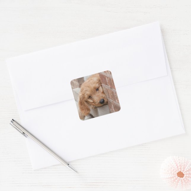 Goldendoodle Puppy Peeking Square Sticker (Envelope)